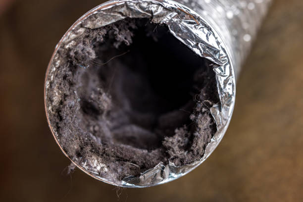 Air Duct Mold Removal in Casas Adobes, AZ